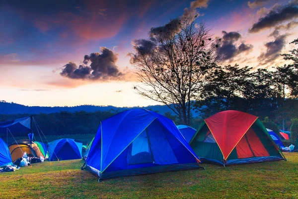 Acampamento de férias com fundo crepúsculo no nascer do sol da manhã — Fotografia de Stock