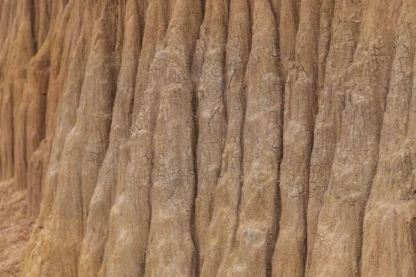 Texture of soil wall — Stock Photo, Image