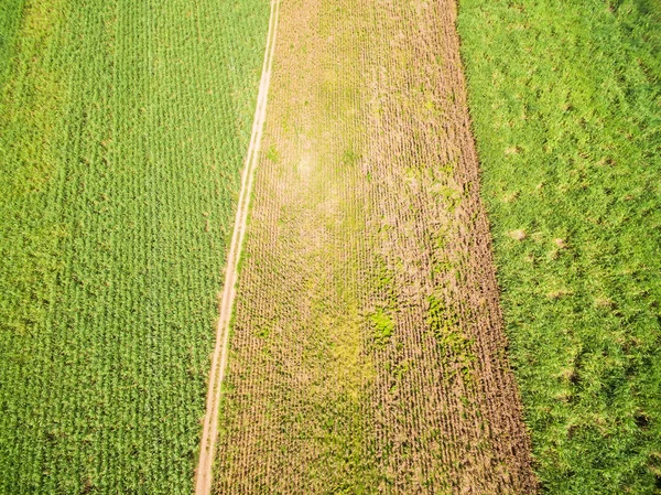 Top uitzicht, Luchtfoto uitzicht op velden en perceel landbouwgrond — Stockfoto
