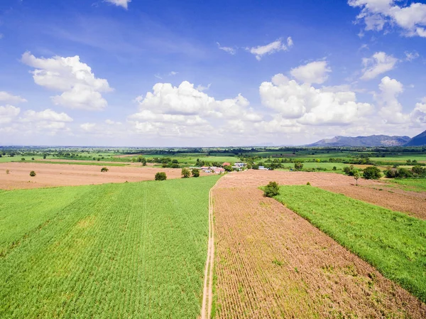 Aerial Views of Fields and Agricultural Parcel, Sugarcane planta — Stock Photo, Image