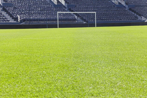 Grama verde no campo de futebol — Fotografia de Stock