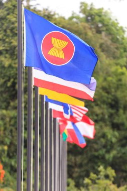 ASEAN ekonomi topluluğu bayrakları, Güneydoğu Asya ülkeleri