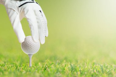 tee golf sahası içinde Golf topu