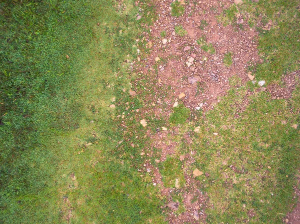 Park hava Üstten Görünüm — Stok fotoğraf