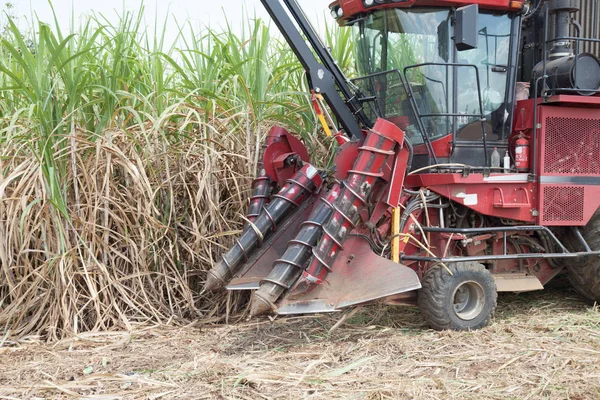 Máquina de colheita de cana-de-açúcar — Fotografia de Stock