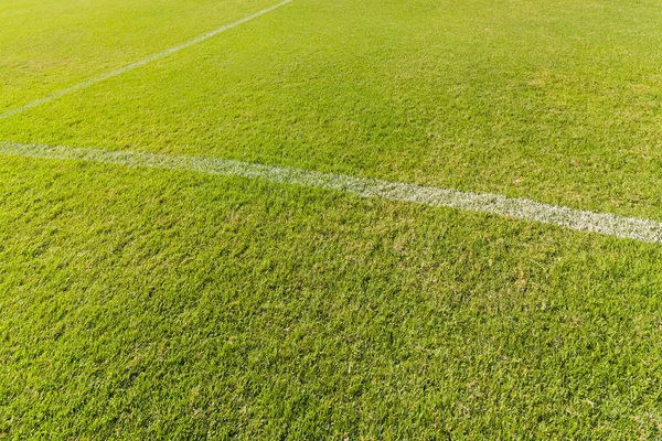 Erba verde sul campo di calcio — Foto Stock