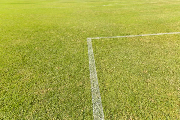 Hierba verde en el campo de fútbol — Foto de Stock