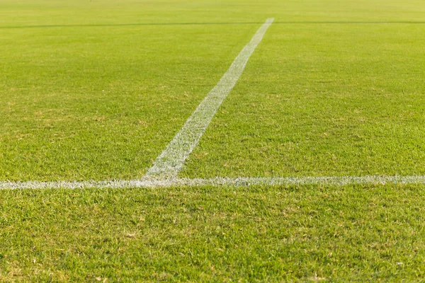 Zelené trávy na fotbalovém hřišti — Stock fotografie