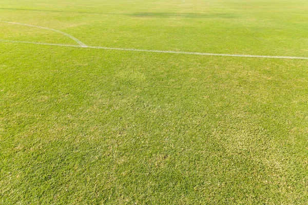 Grünes Gras auf dem Fußballplatz — Stockfoto