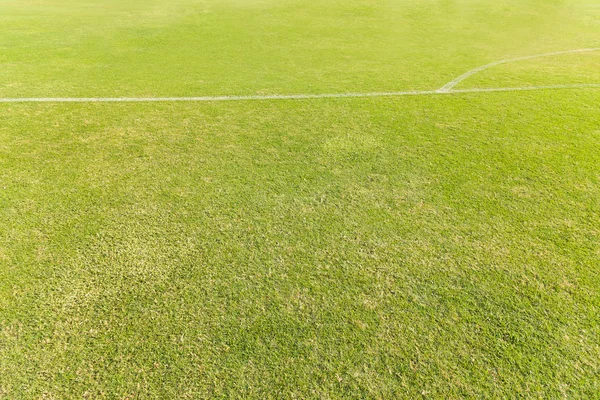 Зелена трава на футбольному полі — стокове фото