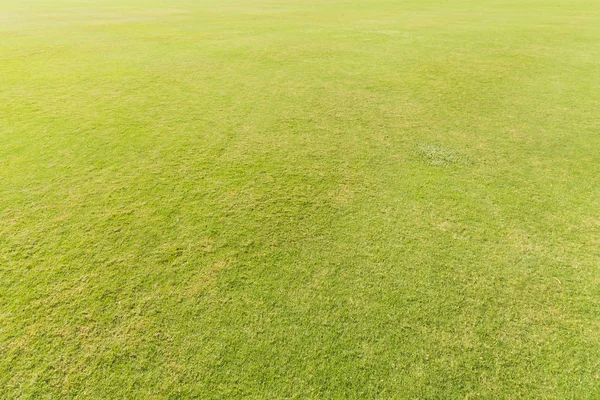 サッカーのフィールド上の緑の芝生 — ストック写真