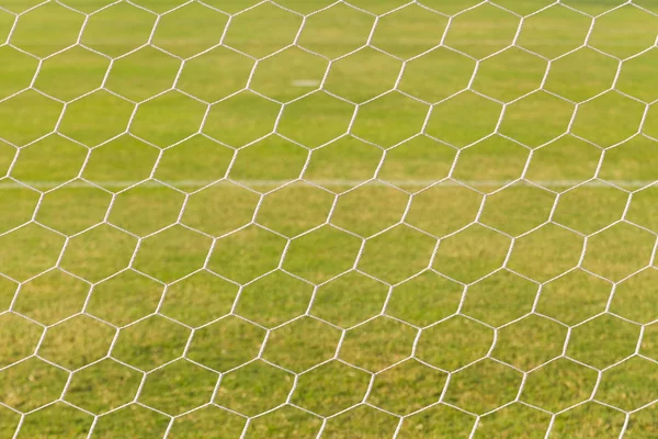 Green grass on the football field Stock Image