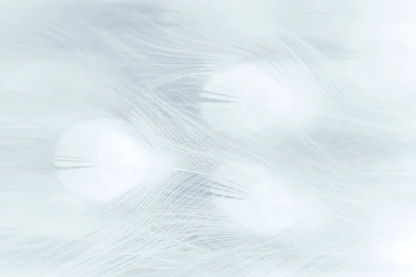 孔雀的翅膀抽象背景 — 图库照片