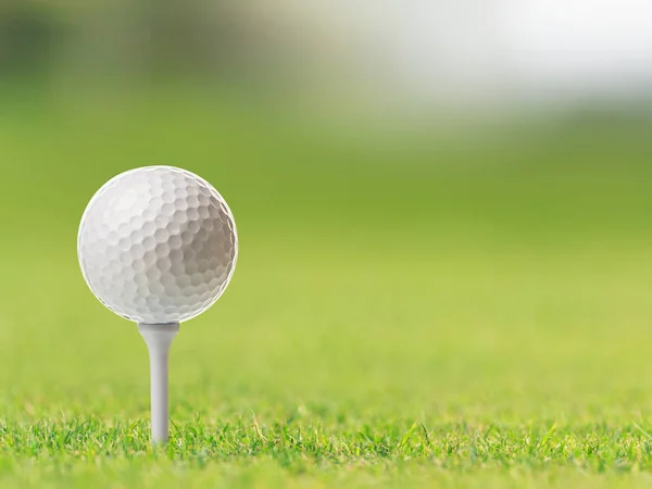 Golf ball op tee in de golf course — Stockfoto