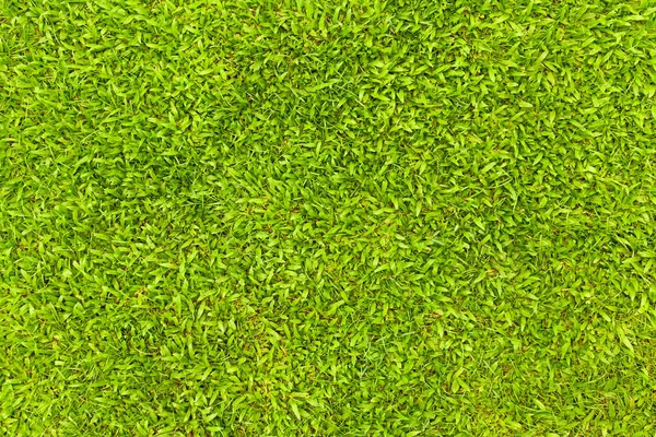 Vista superior da textura de grama verde natural, vista aérea do parque — Fotografia de Stock