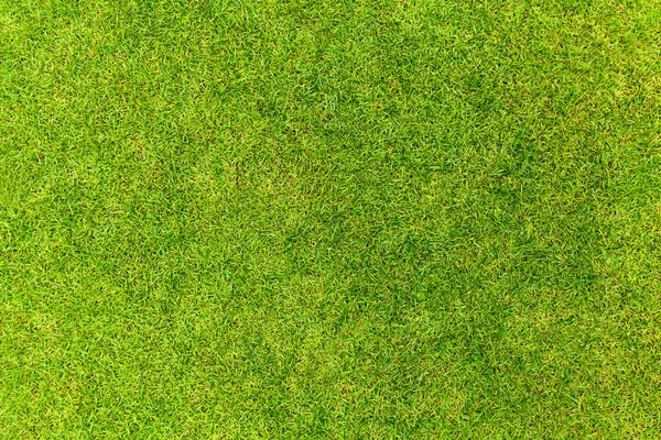 Top view of Natural green grass texture, Aerial view of park — Stock Photo, Image