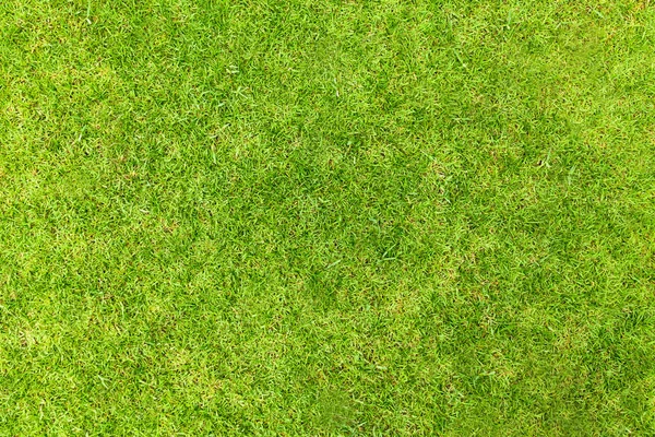 自然の緑の草のテクスチャ、公園の空撮の平面図 — ストック写真