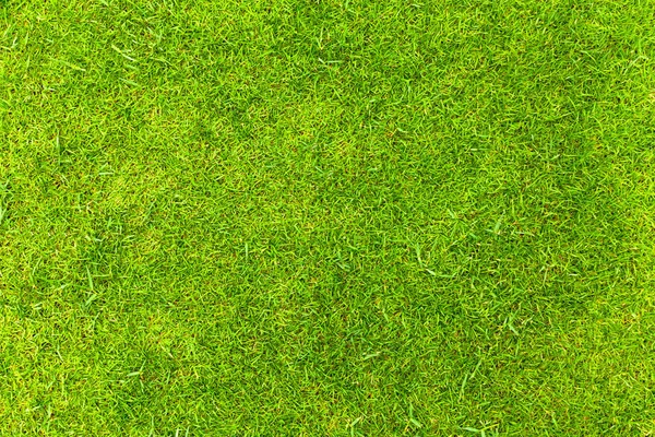 自然の緑の草のテクスチャ、公園の空撮の平面図 — ストック写真