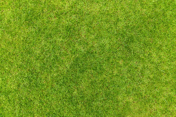 Vista dall'alto di erba verde naturale texture, Vista aerea del parco — Foto Stock