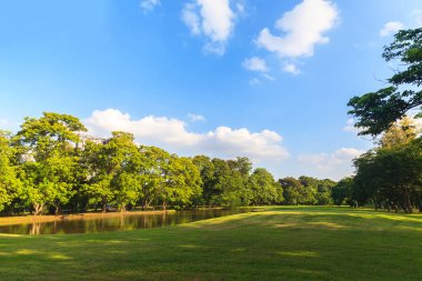 Mavi gökyüzünün altında güzel park yeşil ağaçların