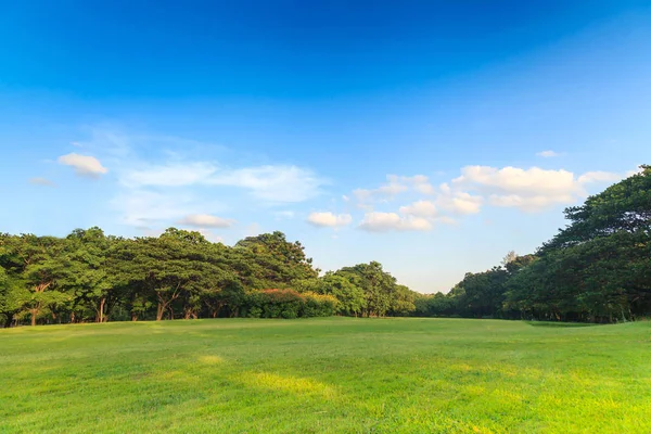 Mavi gökyüzünün altında güzel park yeşil ağaçların — Stok fotoğraf