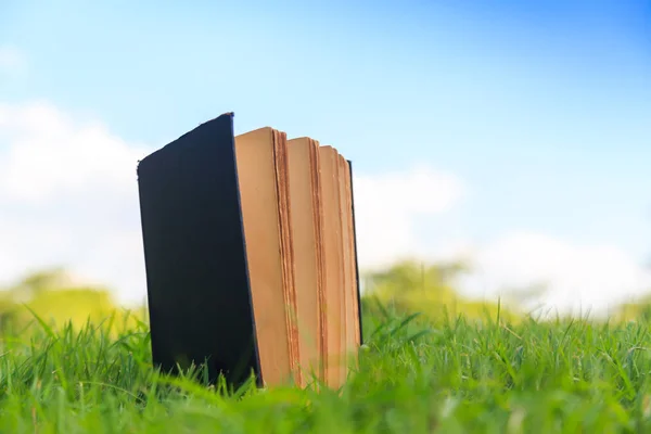 Antiguo libro sobre hierba verde bajo el cielo azul —  Fotos de Stock