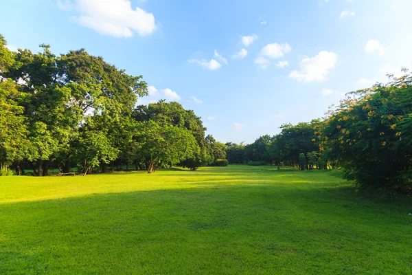 Zielonych drzew w parku pod błękitnym niebem — Zdjęcie stockowe