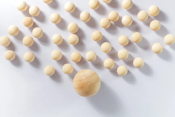 Leiderschap concept, houten bal met schaduw op witte achtergrond — Stockfoto