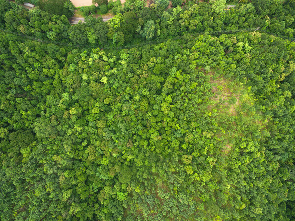 Aerial view of Beautiful tropical forest, Shot from drone