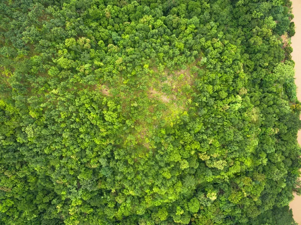 美丽热带森林的空中景观，被无人驾驶飞机射中 — 图库照片