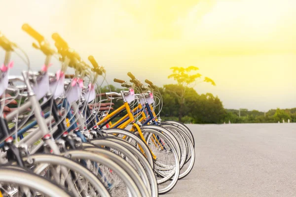 Biciclette in fila per strada in giardino — Foto Stock