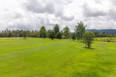 Güzel bir bahçede yeşil çim peyzaj