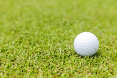 Golf topu golf sahası üzerinde yeşil çimenlerin üzerinde