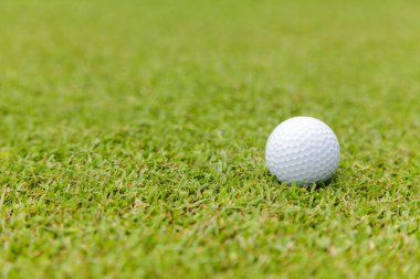 Golf topu golf sahası üzerinde yeşil çimenlerin üzerinde