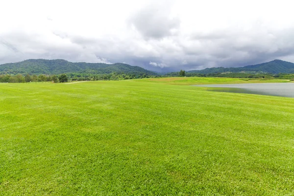 Güzel bir bahçede yeşil çim peyzaj