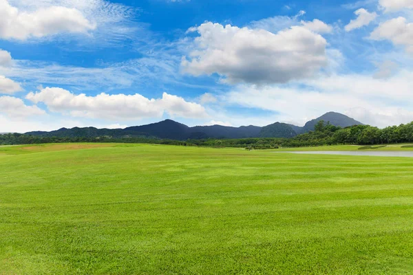 Landschaft aus grünem Rasen in einem schönen Garten — Stockfoto