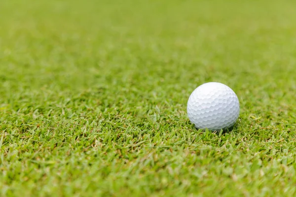 Golfbal op groen gras op golfbaan — Stockfoto