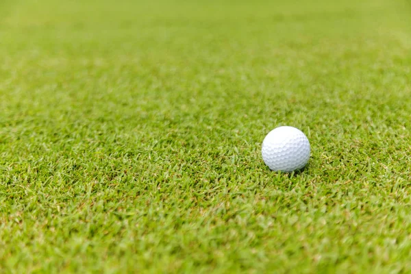 Pelota de golf en césped verde en el campo de golf —  Fotos de Stock