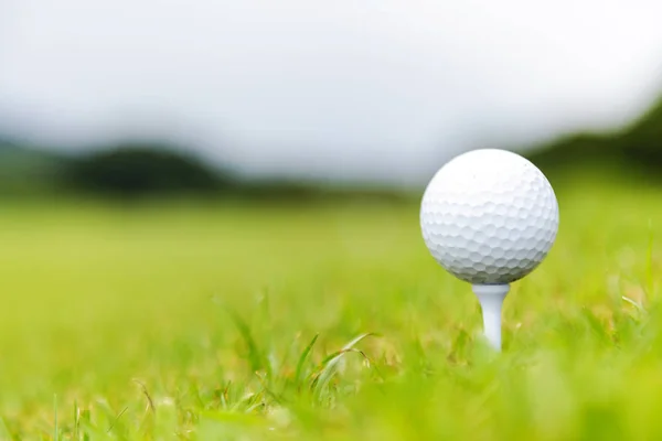 Fechar a bola de golfe no tee no campo de golfe — Fotografia de Stock