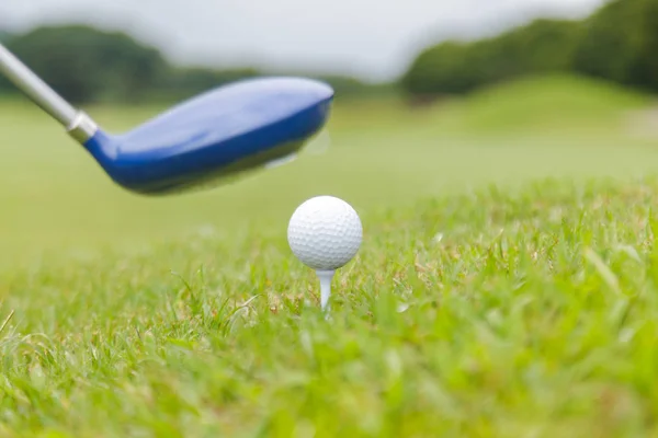 Golf club and golf ball on golf course