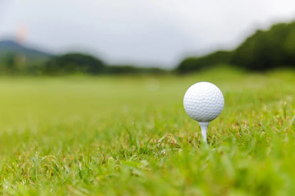 Fechar a bola de golfe no tee no campo de golfe — Fotografia de Stock
