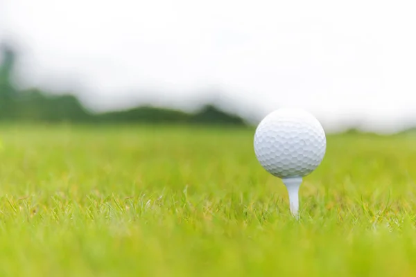 Fechar a bola de golfe no tee no campo de golfe — Fotografia de Stock