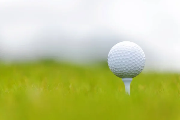 Primer plano de la pelota de golf en tee en el campo de golf — Foto de Stock