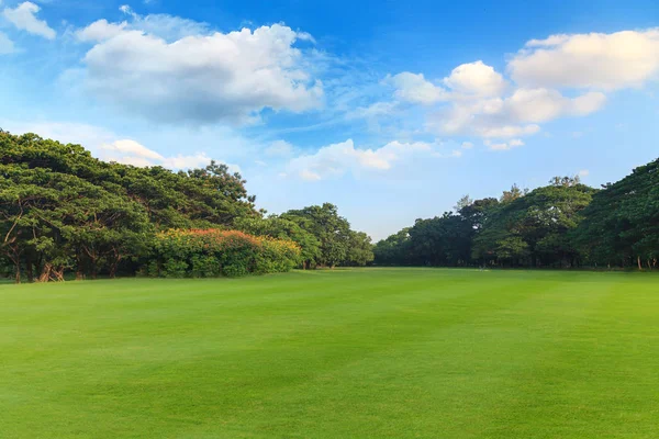 Зеленая трава и деревья в красивом парке под голубым небом — стоковое фото