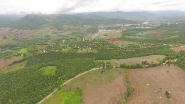 Vue aérienne de la voiture sur la route dans la forêt tropicale, prise de vue depuis un drone  