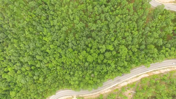무인 항공기에서 총 열 대 숲도로에 자동차의 항공 보기 — 비디오