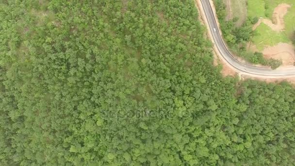 Vista aérea do carro na estrada na floresta tropical, tiro de drone — Vídeo de Stock