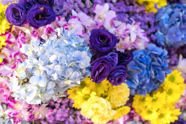 Karışık çiçek aranjmanı, renkli buket çiçek karışık.