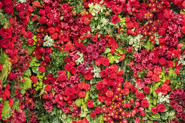 Gemischte Blumenarrangements, bunte gemischte Straußblumen — Stockfoto