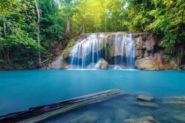 Şelale ile ormanda derin, Kanchanaburi, Tayland 